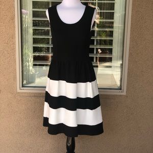 NWOT - MASON & BELLI DAY DRESS